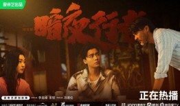 暗夜行者爆料视频大全,揭秘神秘事件背后的真相